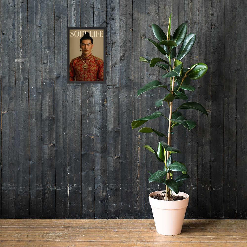 Framed photo paper poster