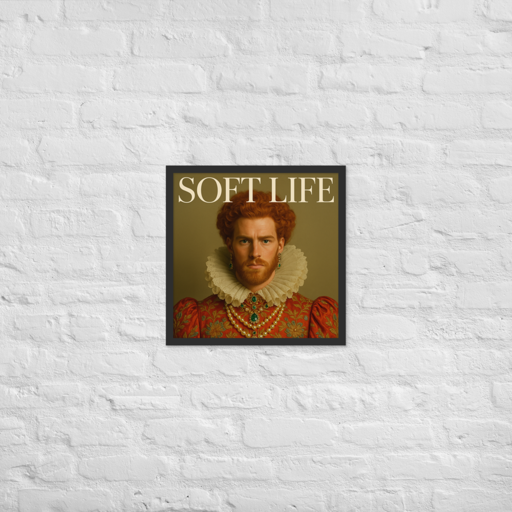 Framed photo paper poster