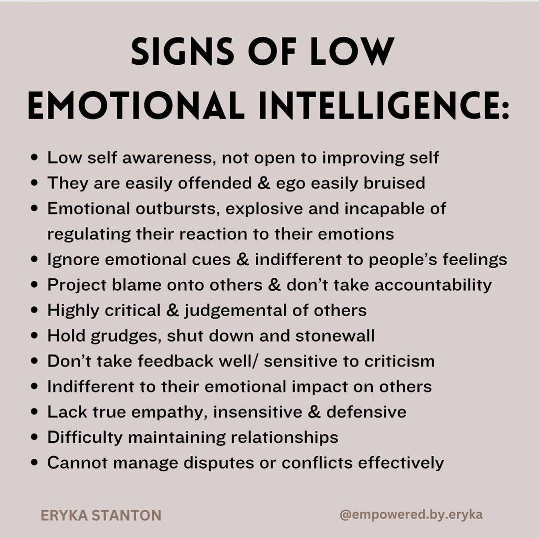 🖤🐦‍🔥The Phoenix Mentorship: For Survivors of Narcissistic & Emotional Abuse❤️‍🩹